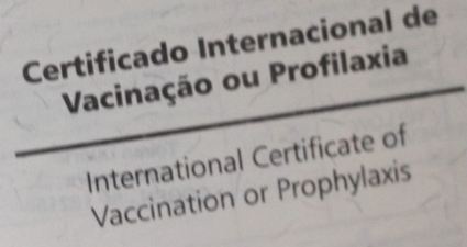 Certificado para viagem só será emitido com dose padrão de vacina da febre amarela, diz Anvisa